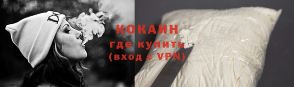 индика Заводоуковск